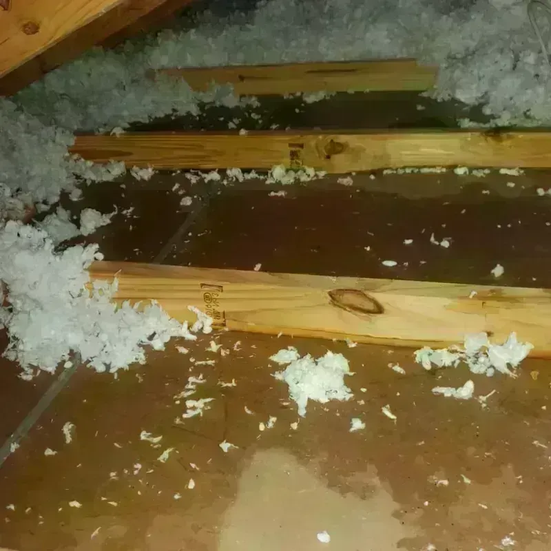 Attic Water Damage in Thatcher, AZ