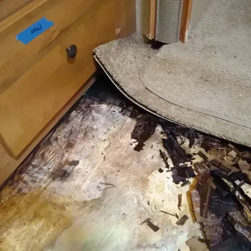 Wood Floor Water Damage in Thatcher, AZ